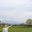 J카마스터 | 시즈오카 여행 대중교통 말고 렌터카를 이용해야 하는 이유 그리고 도요타 렌터카 이용 후기와 꿀팁