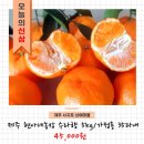 현아네 농장 이미지