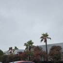 유앤아이 제주(U&I JEJU) | 서귀포 10만원 이하 초깔끔 감성 숙소! 호텔급 위생까지? 유앤아이제주 캐빈동 내돈내산