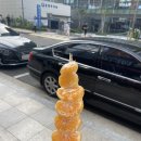 달콤왕가탕후루강남 이미지