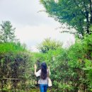 UR(문경시)-[신흥로]-상-1 | 문경 가볼만한 곳 추천 문경새재 돌리네습지 축제까지 알찬 하루 코스