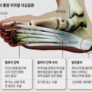향남 정형외과의원 이미지