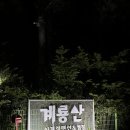 🌲 [공주 캠핑장 추천] 양화 저수지 뷰가 아름다운 ‘계룡산 사계절 캠핑장’ 가4 사이트 후기