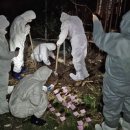 학 농장 이미지