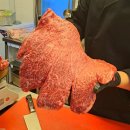 국민은행뒤A-우 | 공덕역 한우 맛집ㅣ룸식당에서 즐기는 A++ 한우와 와규의 정석 ‘야키니쿠 우’