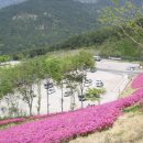 비슬산휴양림주차장매점 이미지