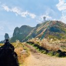 섭지코지 | 제주도 동쪽 여행 섭지코지 주차 등 후기
