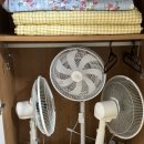 강진 자연드림 이미지