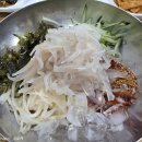 태종물회 | 포항 오징어물회 맛집 추천 '태종물회' 방문 후기