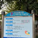 서울 || 방화동 방신전통시장 족발보쌈 일급족보