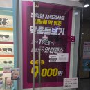 펜타플러스 | 📍[내돈내산]경산 으뜸플러스안경 펜타힐즈점 방문후기