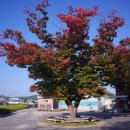 신선마을회관 이미지