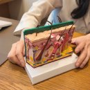 맑은빛피부과의원 | 당산피부과 피코토닝 기미치료 효과있을까 궁금하다면 필독