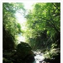 계곡&풍경 이미지