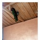 인천대공원(어린이동물원) 이미지