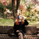 음악벤치 티스토리