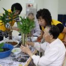 제주도립요양원 이미지