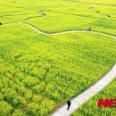 낙동강관리본부 맥도생태공원 2 이미지