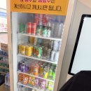 노랑고래 | 여수 이순신광장 맛집 여수언니 최애 맛집 노랑고래 내돈내산 후기