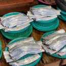 세화오일시장 이미지