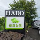 태희농장 이미지