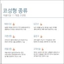 더예쁜성형외과의원
