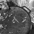 서촌1구 이미지