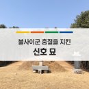 신호묘 이미지