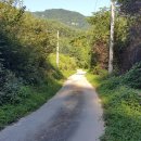 금당계곡 펜션 이미지