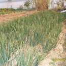 이동농장 이미지