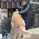 옹달샘농장 | 겨울에 다녀온 경남 산청 문수암 템플스테이｜친구랑 힐링 여행, 사찰음식 맛집