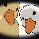 안마산로 이미지