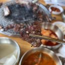 조선돼지 이미지