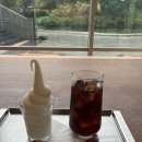 피카소 목장 이미지