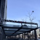 장지역 | 한샘 송파점 쇼룸/ 장지역 맛집 핏제리아오 후기🍕