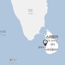 더 램프