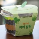 책상 위의 작은 정원, 테라리움 만들기 | 식물 인테리어의 시작~ 실내 가습기~이끼 테라리움 만들기 후기