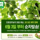 진주엑기스