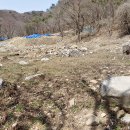 계성리석등 이미지