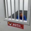 생활한복만들기(수) | 서울 생활사 박물관, 화랑대 철도공원