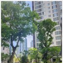 용호헬스사우나 이미지