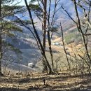 삼밭골목장 이미지