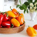 해오름농장-3 이미지