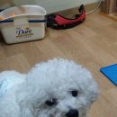 멍멍회관 이미지