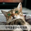 반려동물 관리사 이미지