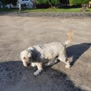 남원읍-87 이미지