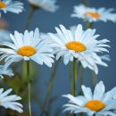 대정요양병원 이미지