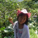 가현농장 이미지