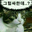 넥스가드