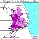 8월 31일(월요일) 08:00 현재 대한민국 날씨 및 기상특보 발효 현황 (울릉도, 독도 포함) 이미지